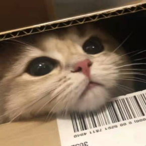 计算机202-于梓漪